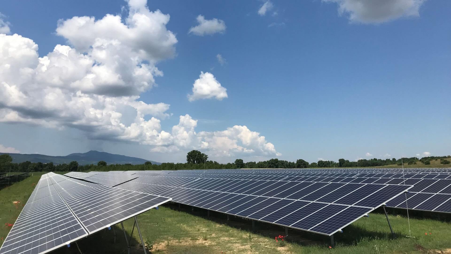 rows of solar panels set against blue sky
