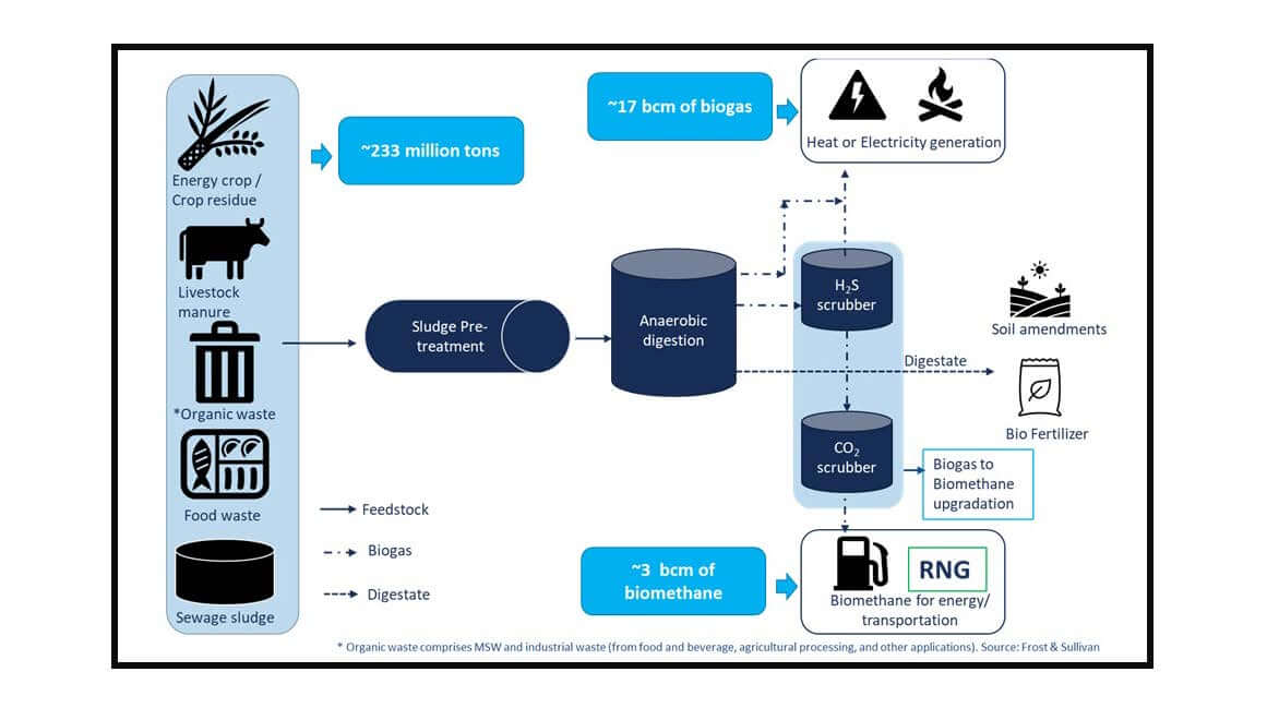graphic of anaerobic digestion and biogas production value chain in Europe