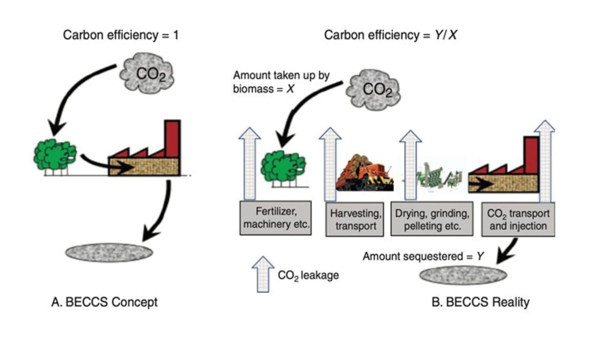 Diagram showing BECCS concept and BECCS reality