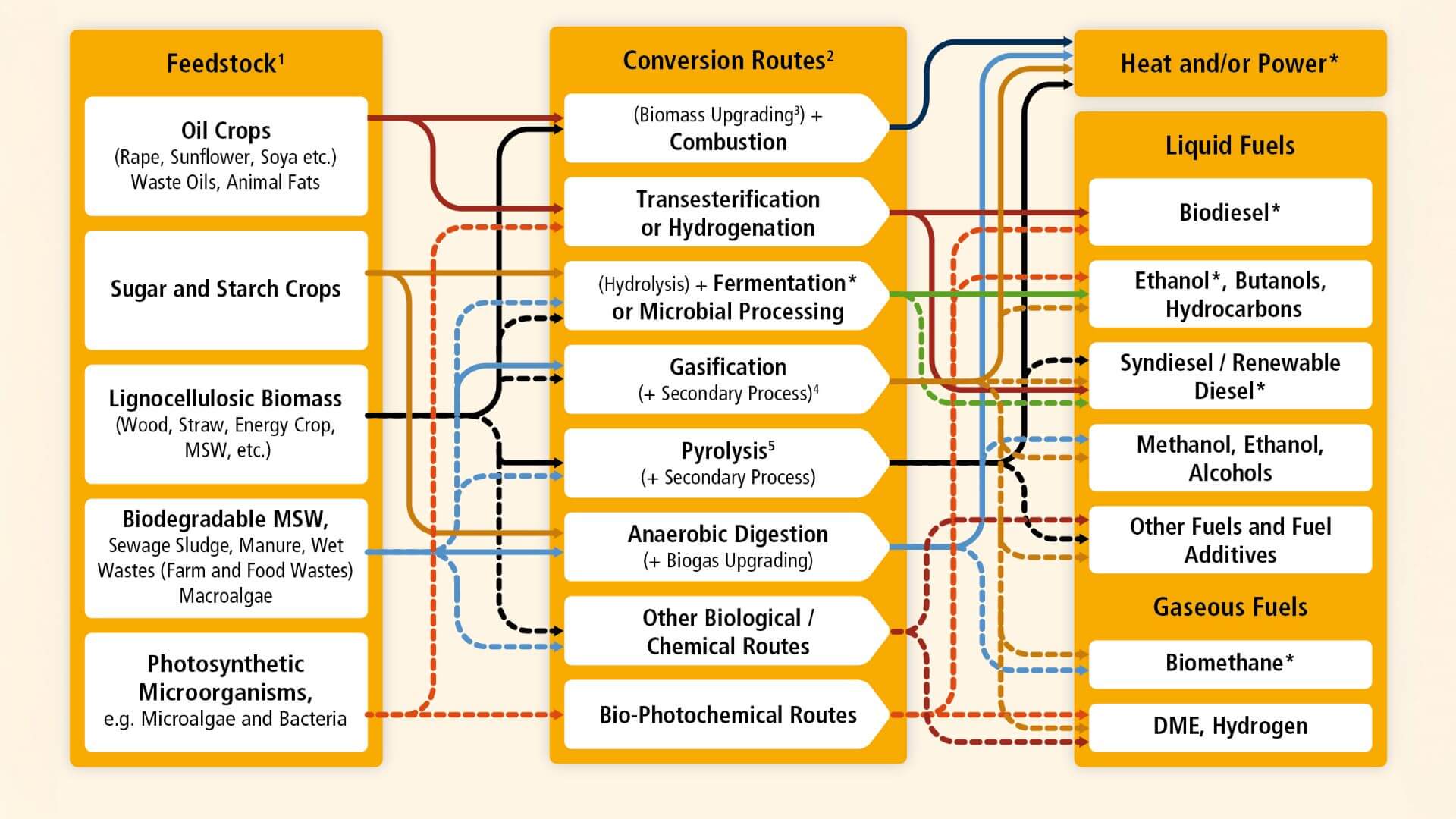 graphic detailing the different ways in which biomass can be processed