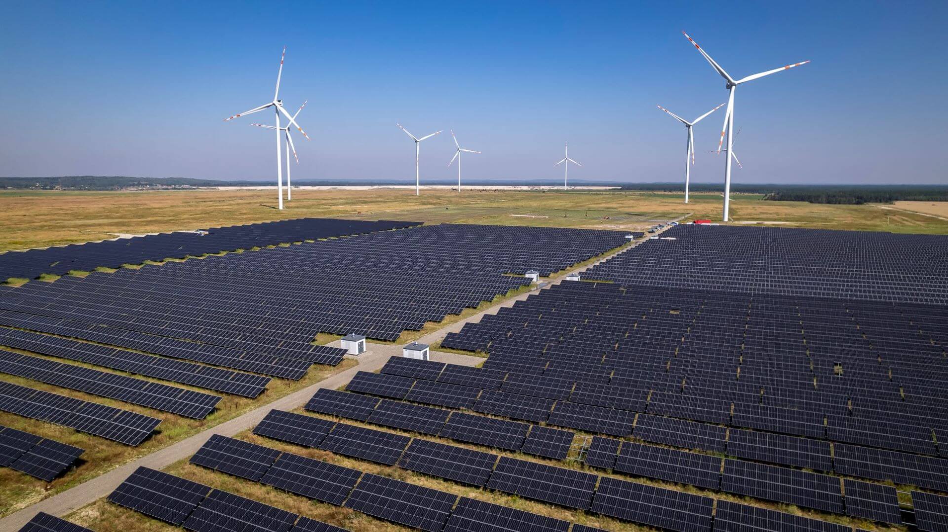 row upon row of solar panels with a few wind turbines in the distance