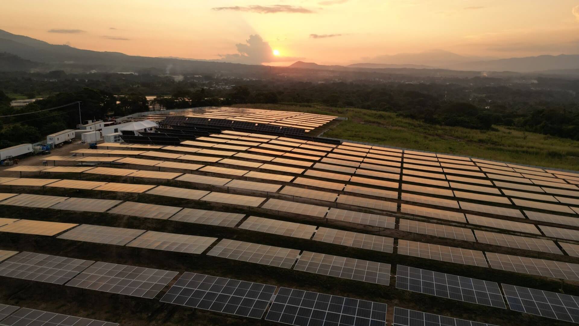rows of solar panels in setting sun