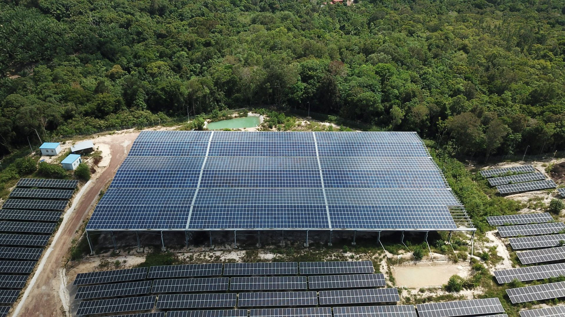 solar panels lined up in solar farm in rainforest clearing