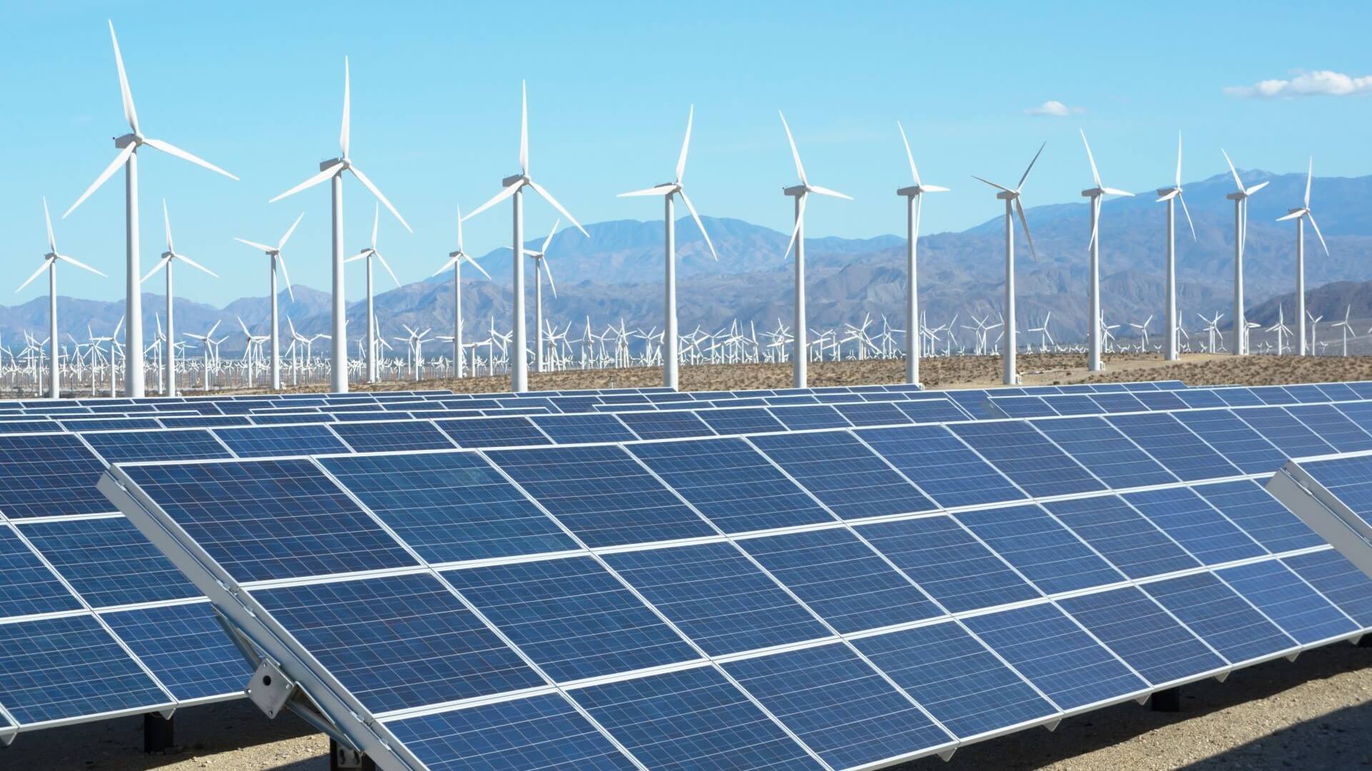 rows of solar panels in foreground and rows of wind turbines in background
